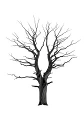 Obraz premium an ancient, gnarled dead oak tree, a stark black silhouette, stands isolated against a minimalist white background of ethereal fog. high-contrast fine art photo. concept of solitude and resilience