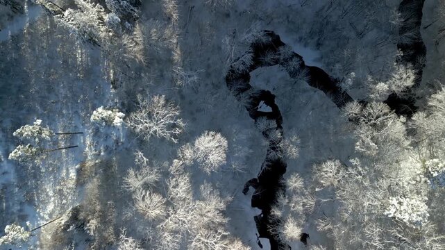 Top-Down Aerial View of Winding River Flowing Through Snowy Winter Forest