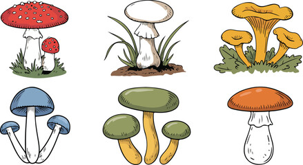 Colorful Mushroom Sketch Vector Set  Toadstool, Chanterelle, and Forest Fungi © MDABULKALAM