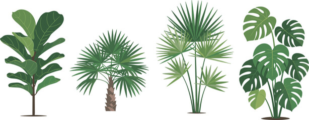 Flat vector illustration of tropical indoor plants featuring fiddle leaf fig fan palms and monstera deliciosa deliciosa for home decor and exotic greenery branding,