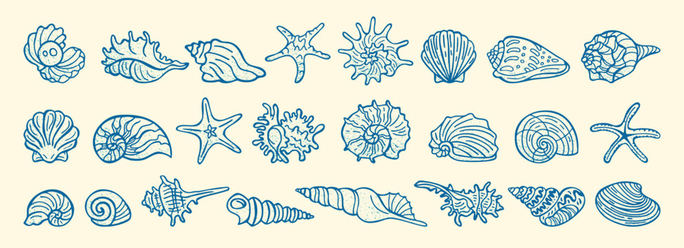 Set of various seashells, starfish in modern doodle style grungy effect Hand drawn vector illustration. Summer ocean, beach theme marine elements isolated perfect for coastal vacation tropical designs