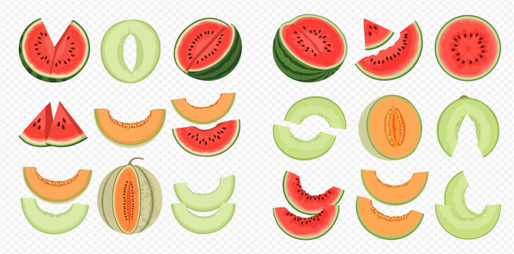 Set of watermelons and melons cut into slices and halves, vector illustration on transparent background.
