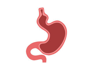 Fototapeta premium Hiatal Hernia Disease Stomach Illustration 