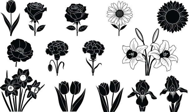 Black flower silhouettes set isolated on white background with rose tulip sunflower lily and carnation for floral design wedding invitation and botanical illustration