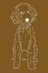 Minimalist White Line Drawing Outline of a Sitting Poodle on Brown Background