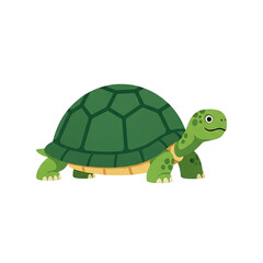 Obraz premium Green Turtle calmly strolling forward
