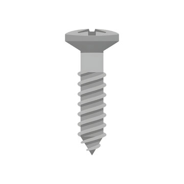 Gray slotted screw standing upright