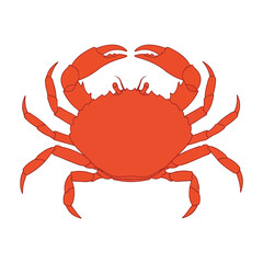 Red crab standing on eight legs with claws raised high