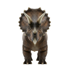 Fototapeta premium A massive ceratopsian dinosaur specimen, featuring thick leathery brown skin and sharp ivory horns, isolated on a transparent high-key studio background, symbolizing the concept of paleontology