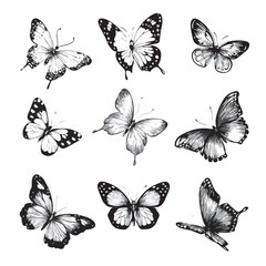 tribal butterfly logo,