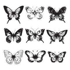 tribal butterfly logo,