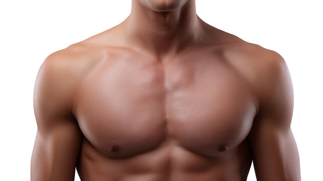 A close-up shot of a muscular male torso, showcasing definition