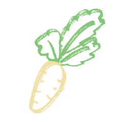 Hand drawn farm daikon radish plant with green leaves Fresh vegetable doodle Healthy eco food Organic garden vegetarian food For design, print, packaging, decor, kids books