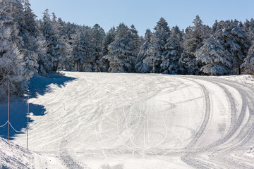 Fototapeta premium Wide view of a ski run with tracks and snow-covered forest under a clear blue sky