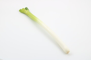 シンプルという文字が似合う白ネギの美