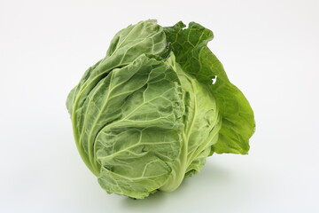 シンプルな春キャベツの白バック