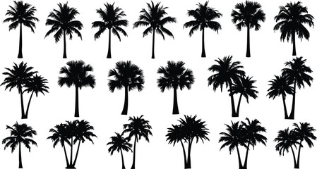 Collection of tropical palm tree silhouettes in various shapes isolated on white background, exotic beach landscape nature design set illustration