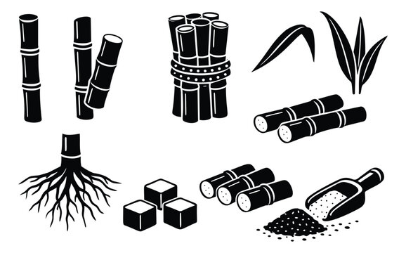 Glyph icons set of sugarcane featuring stalks, leaves, roots, and sugar forms for agriculture and food production