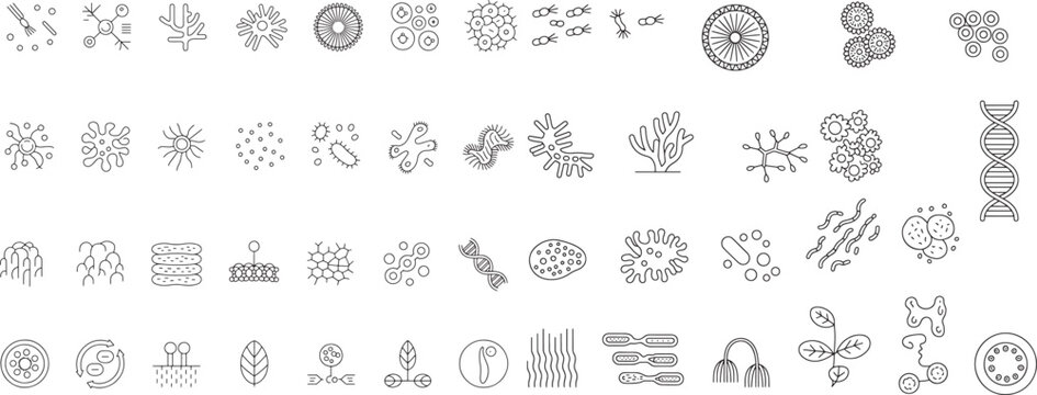 Set of microbiology icons: bacteria, virus, cell, organism, microscopic life, biological elements