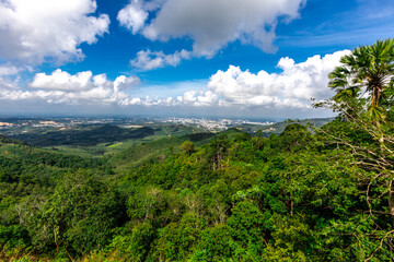 Obraz premium Panoramic nature background On a high mountain, you can see the scenery of trees, grass, and lush rice fields. While traveling on an adventure trip