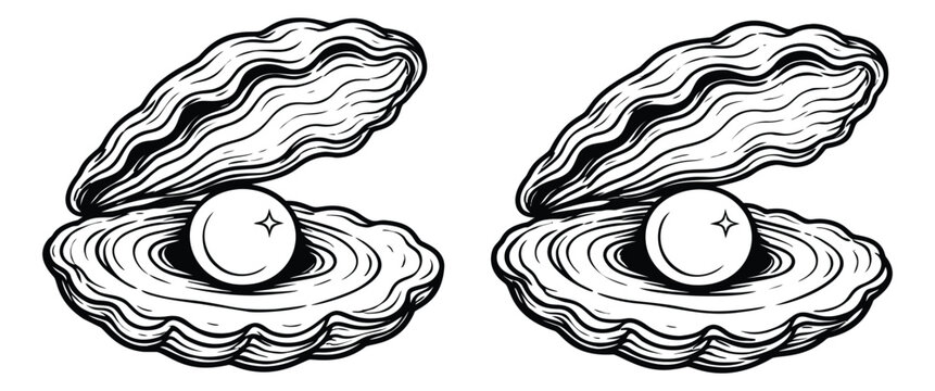 Hand drawn line art oyster pearl set featuring a shining pearl nestled within an open oyster shell for luxury and marine themes