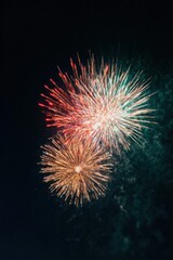 Colorful Fireworks Bursting in Dark Night Sky for Celebratory Festival Background, Multi-Color Pyrotechnic Display for New Year, Birthday, or Special Event Atmosphere