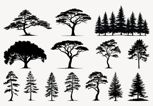 Silhouettes Of Diverse Tree Types Element Set