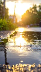 Naklejka premium Sun glints off a puddle in the street, reflecting light and creating bokeh with trees blurred in the background