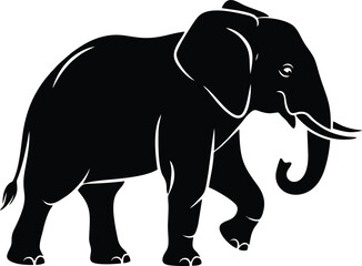 Fototapeta premium elephant isolated on white