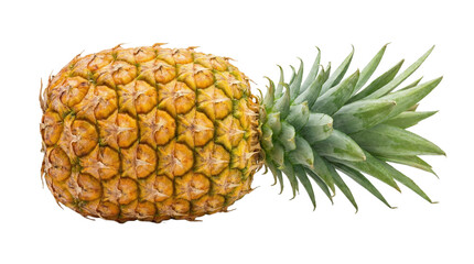 Whole fresh pineapple tropical fruit with crown, juicy summer food, realistic produce, isolated cutout PNG on transparent background for menu, recipe, packaging, sticker and ads