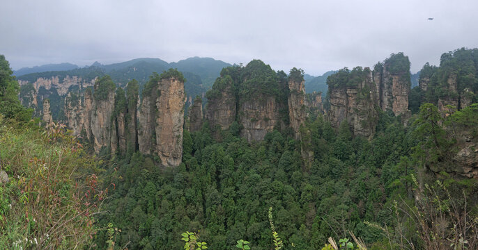 Five-finger Peak in Huangshizhai Yellow Stone Village in Zhangjiajie Avatar mountains panoramic view