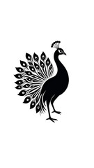 Fototapeta premium Black and white illustration of a peacock with intricate tail feathers, standing proudly on white background. Elegant vector design