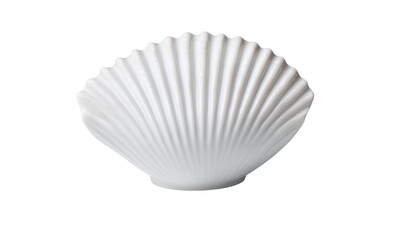 Fototapeta premium White scallop shell with ribbed texture isolated on black background image, Isolated, Png Transparent Background