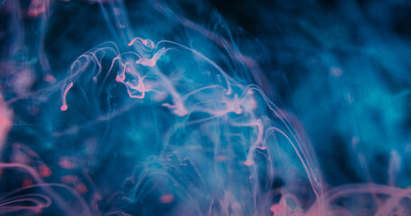 Naklejka premium Defocused fog fluid. Ink haze. Blue pink color dye dripping in water stream. Abstract swirl vapor glow curl floating on black background.