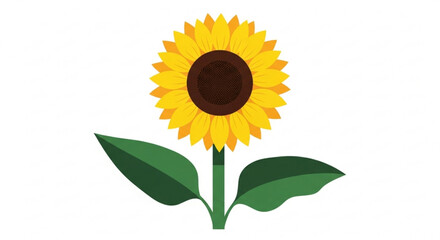 Obraz premium Vibrant sunflower illustration with bright yellow petals and dark brown center on white background