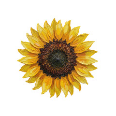 Fototapeta premium Vibrant Yellow Sunflower Blossom Textured Painting