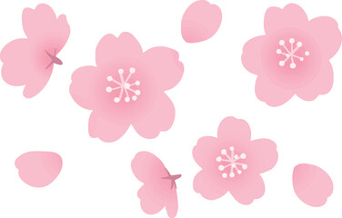桜の花のベクターイラスト　春の和風フラワー素材