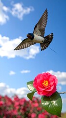 Swallow with wings spread, flies above a bright pink flower against a blue sky backdrop