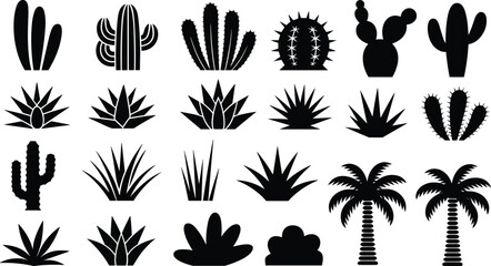 Cactus and desert plant silhouettes vector set, succulents, agave, aloe and palm tree icons collection, arid landscape flora, black and white illustrationCactus and desert plant  ©  Alexander Creations