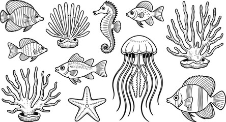 Hand-drawn vector collection of marine life: tropical fish, seahorse, jellyfish, coral, starfish and shells, ocean reef illustrations, nautical coloring pages, editable clipart ©  Alexander Creations
