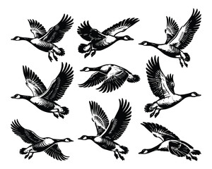 Obraz premium Flying Goose Silhouette Vector, Wildlife Bird 