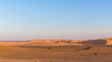 Golden sand dunes stretch endlessly under the warm glow of the Sahara desert at sunset.