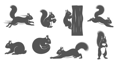Squirrel Silhouettes: Collection of Woodland Creatures in Various Poses, Graphic Icons © Abirex