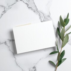 Blank White Greeting Card with Green Olive Branch on Marble Background Natural Light