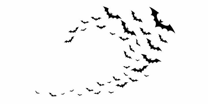 A swirling flock of black bats forms a crescent shape against white