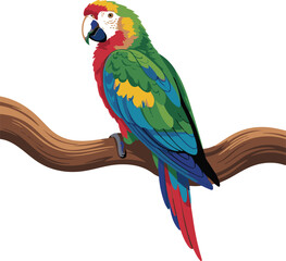 Obraz premium Colorful Parrot Vector – Tropical Bird Illustration