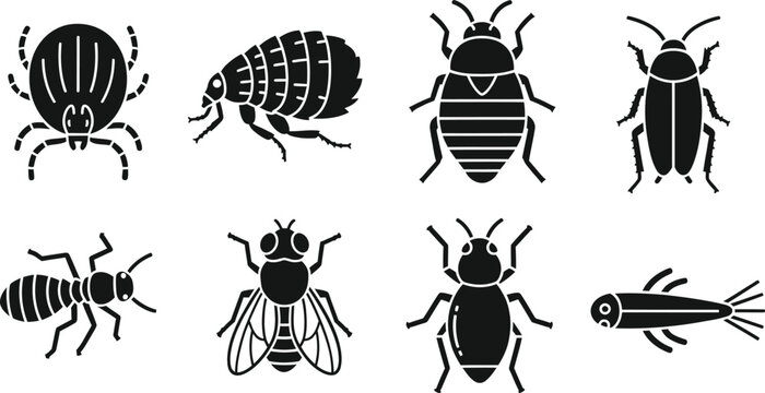Household pest and insect icon set featuring tick, flea, bed bug, cockroach, ant, termite, fly, and silverfish silhouettes, ideal for pest control services and hygiene graphics.