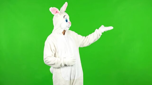 A person in a fluffy white bunny costume gestures to the side against a vibrant green screen background, perfect for holiday promotions