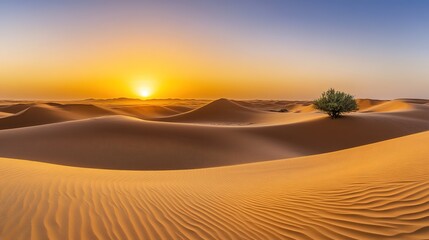 acacia. Golden desert sunset with endless dunes and a lone acacia tree silhouette. inspiring travel planning, travel magazines, designed for travel destination branding, used by content marketers.