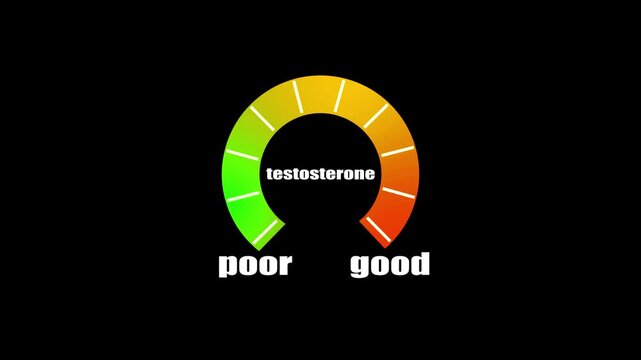 Digital testosterone meter icon